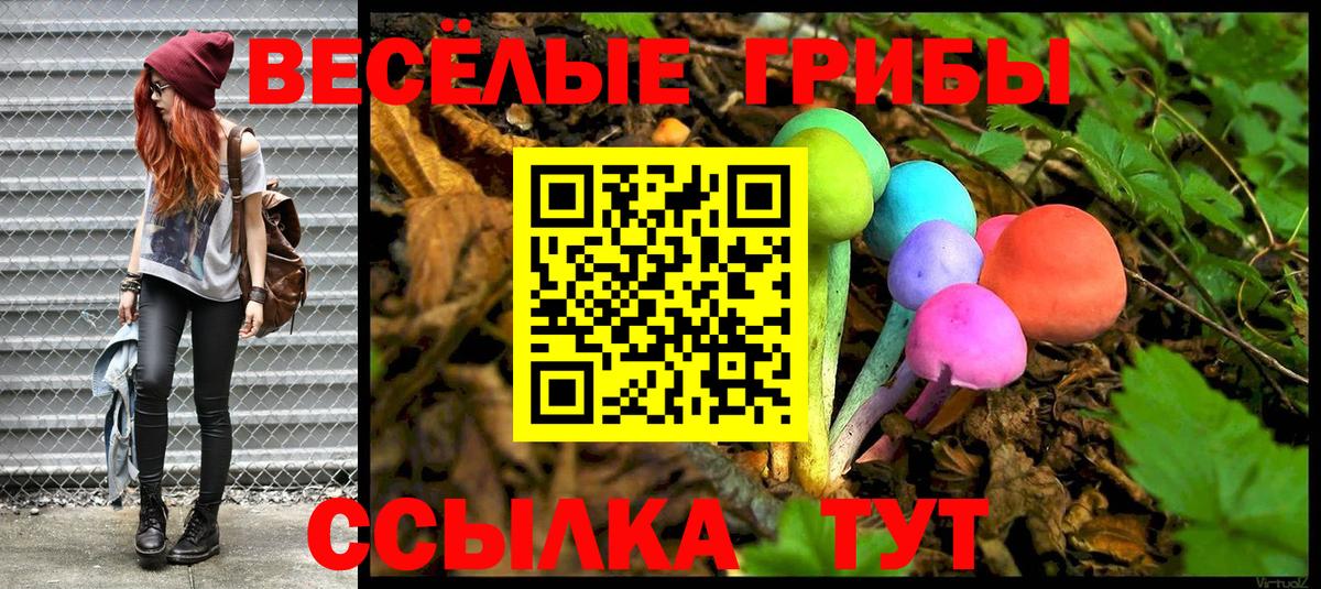 Псилоцибиновые грибы мицелий Дубна