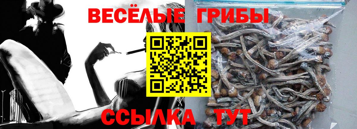 Псилоцибиновые грибы Psilocybine cubensis  Псилоцибиновые грибы Psilocybe  Дубна  Вход с VPN 